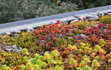 the cost of Knowes green roof installation