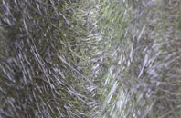 Knowes fibreglass roof work